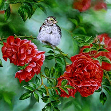 Оригинал схемы вышивки «птицы и цветы» (№464950)