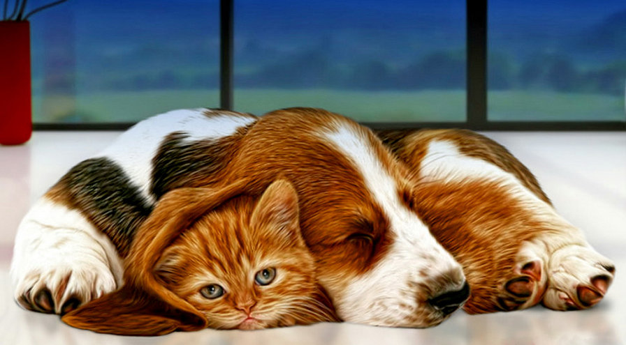дружба - собака, сон, щенок, кот, пара, милашка, лапушка, котенок - оригинал
