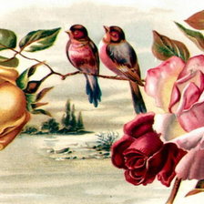Схема вышивки «розы с птичками»