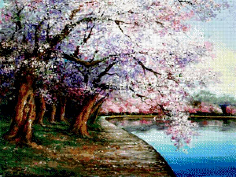 весна - вода, природа, дерево, живопись, сакура - предпросмотр
