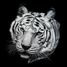 Схема вышивки «триптих  тигр часть 3»