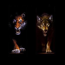 Схема вышивки «волк и тигр»