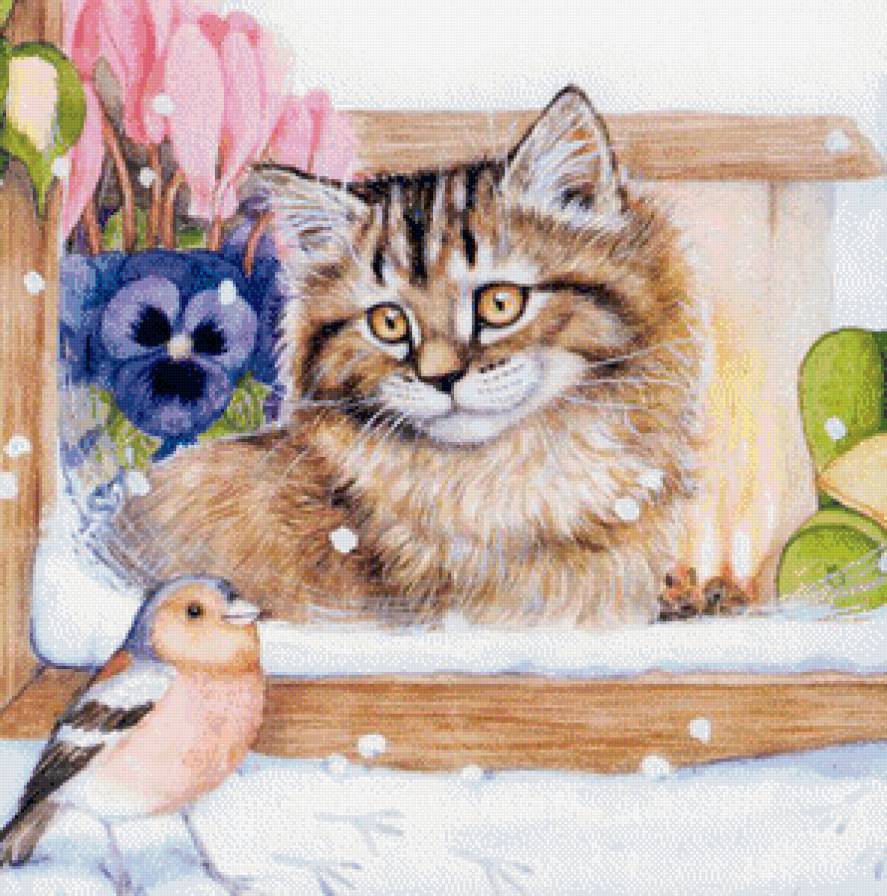 Кошка за окном - зима, кошки, котята - предпросмотр