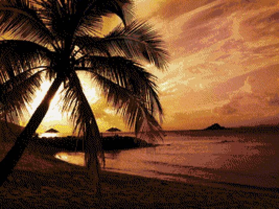 Закат с пальмами - пальмы, природа, экзотика, море, закат, пейзаж - предпросмотр