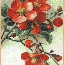Оригинал схемы вышивки «шиповник в цвету» (№466267)