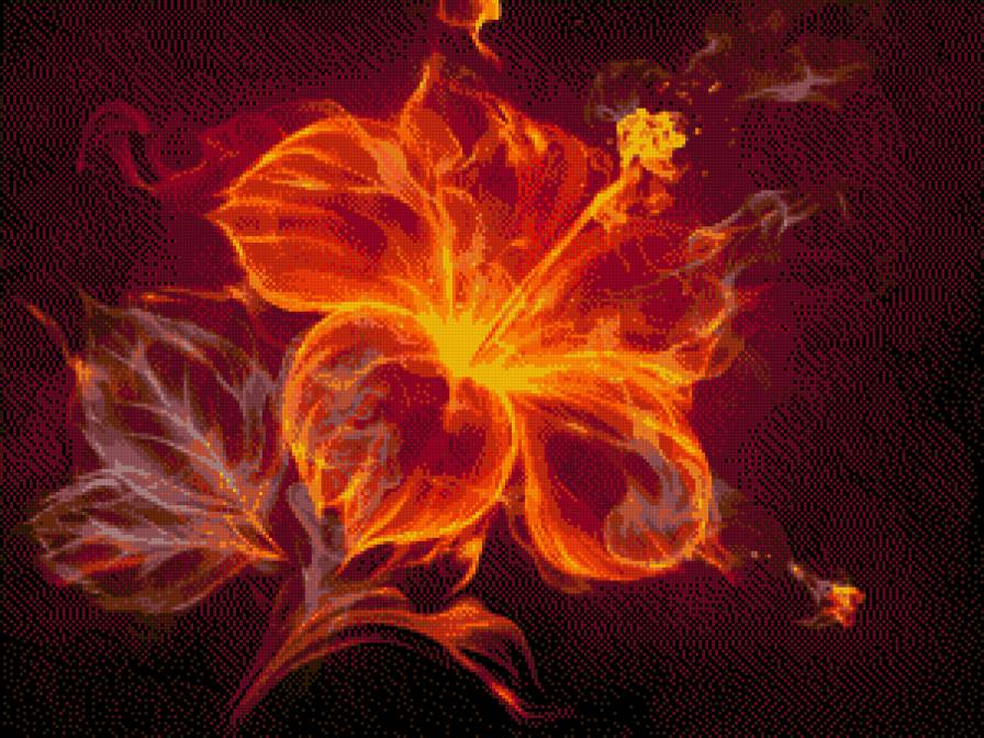 Огненный цветок - цветок - предпросмотр