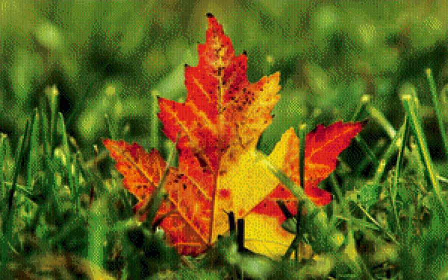 Осенний лист - листок, осень - предпросмотр