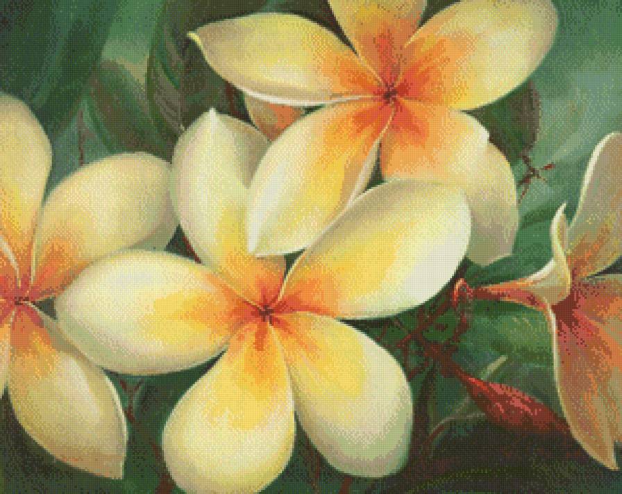 цветы Jill Kirstein - нежно, цветы - предпросмотр