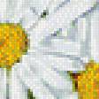 Предпросмотр схемы вышивки «букет полевых цветов» (№469393)