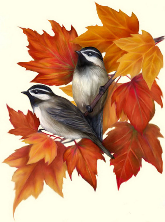 осень - листья, птицы, ветка, клен, пара - оригинал