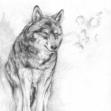 Оригинал схемы вышивки «Волк» (№469673)