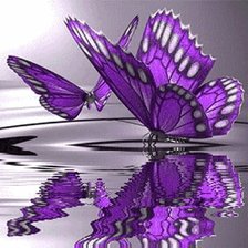 Схема вышивки «Бабочки 150х148 60 цветов»