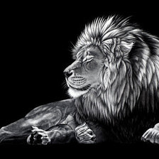 Оригинал схемы вышивки «лев на черном» (№470003)