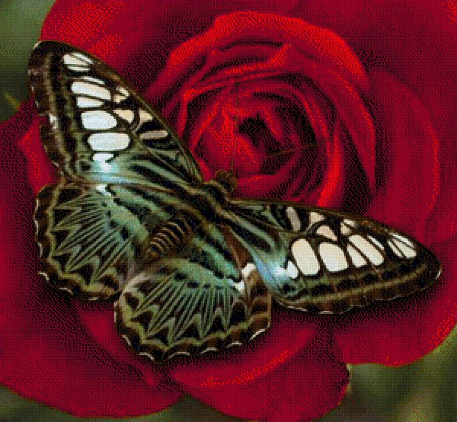 Motýl - květiny - предпросмотр