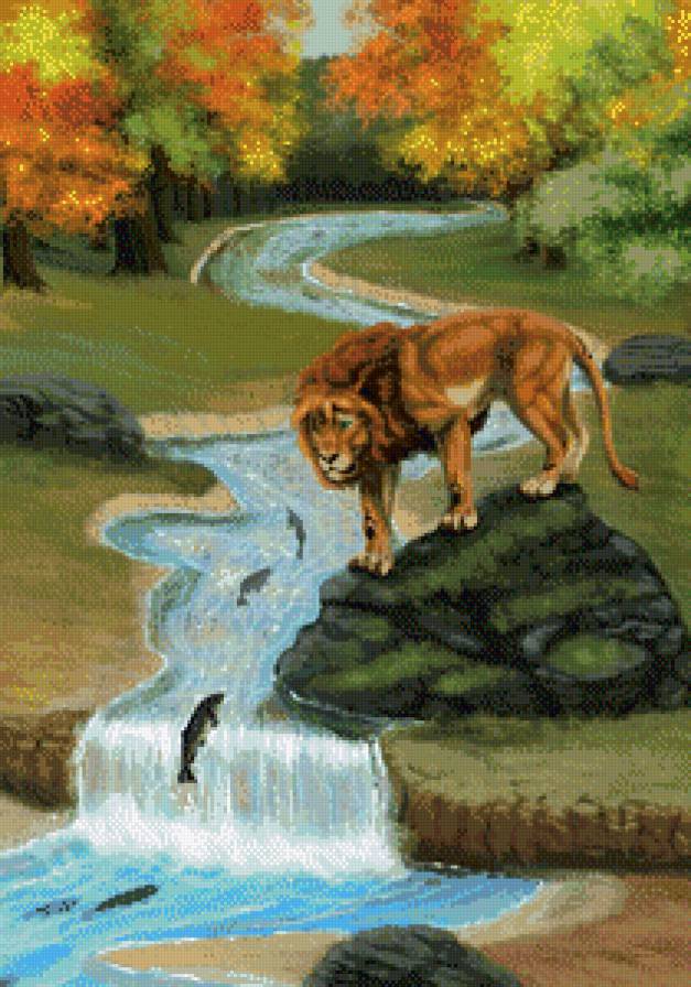 №470224 - природа, лев, кошки, рыбы, вода, животные - предпросмотр