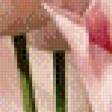 Предпросмотр схемы вышивки «тюльпаны» (№470406)