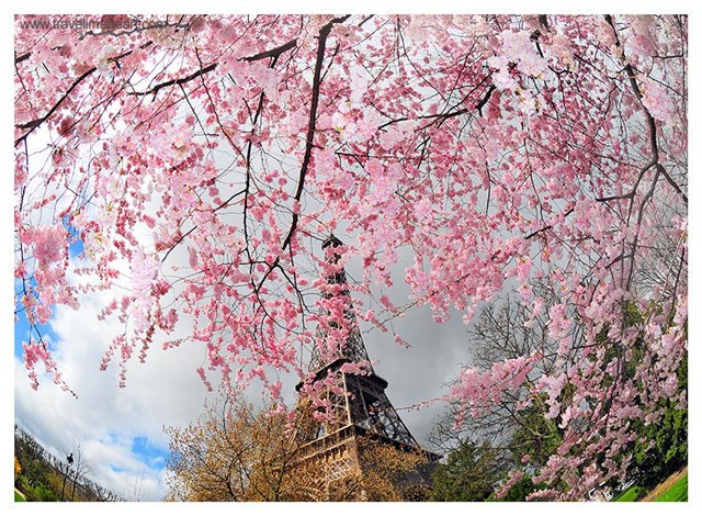 Париж - париж, природа, эйфелева башня - оригинал