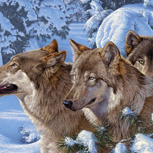 Оригинал схемы вышивки «Волки зимой» (№470881)
