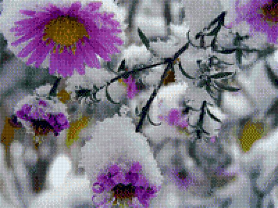 цветы и снег - снег, цветы - предпросмотр