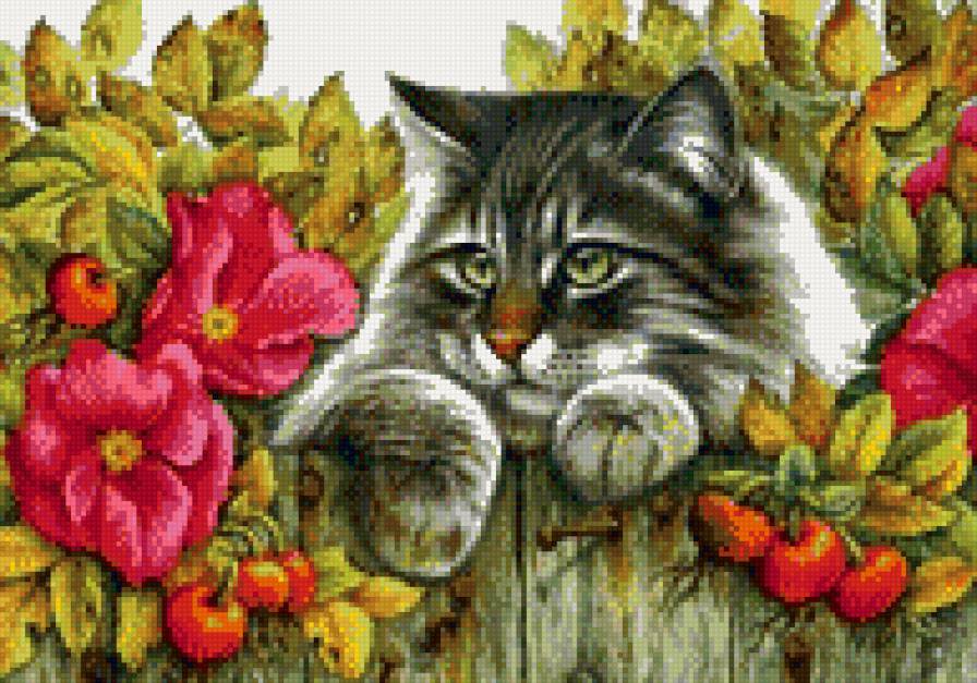 Кот на заборе2 - цветы, кот, забор - предпросмотр