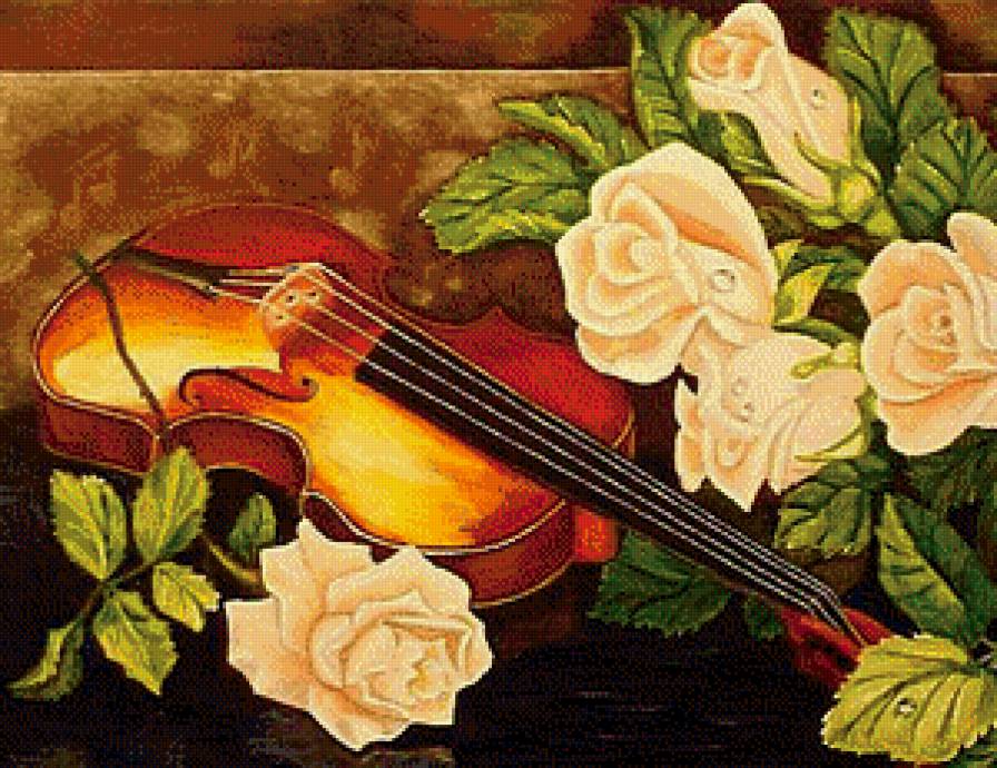 Музыка роз - цветы, скрипка, розы - предпросмотр