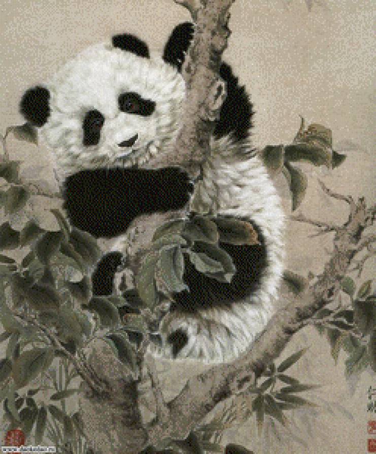 панда - дикая природа - предпросмотр