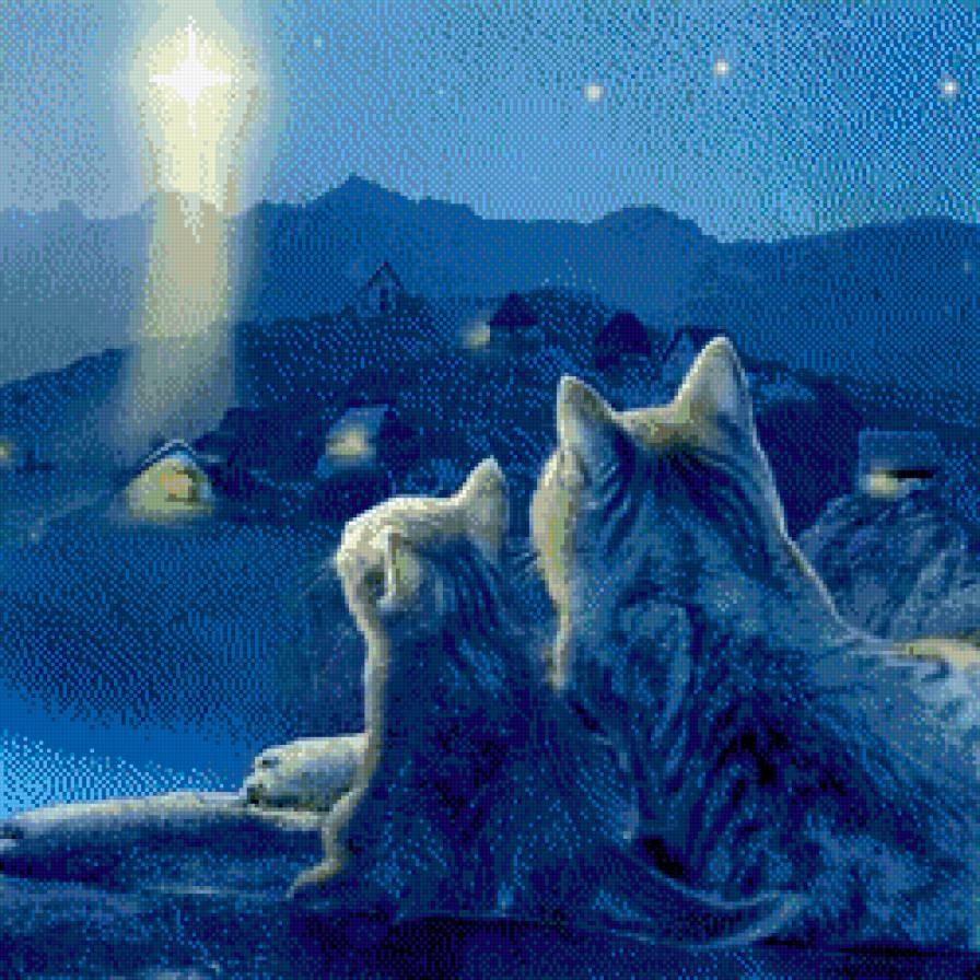 рождественская звезда - ночь, кот, живопись, котенок, небо, кошка - предпросмотр