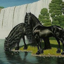 Схема вышивки «лошади у водопада»
