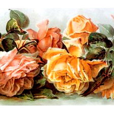 Оригинал схемы вышивки «розы часть 2» (№472786)