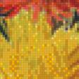 Предпросмотр схемы вышивки «Букет хризантем» (№472973)