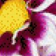 Предпросмотр схемы вышивки «хризантемы» (№473133)