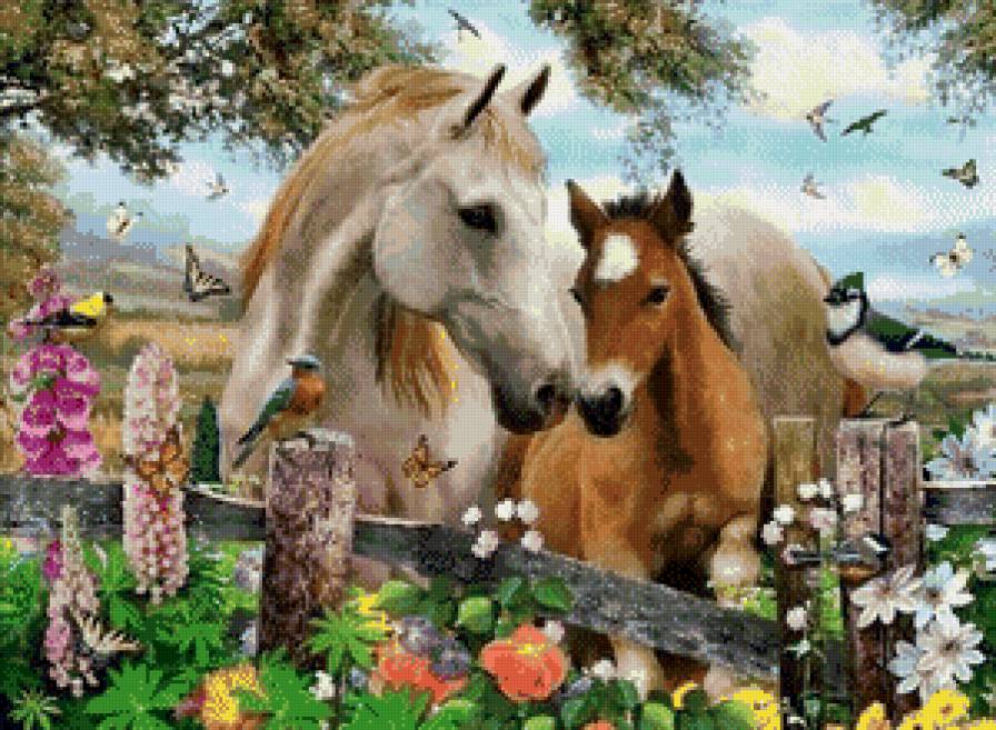 мама с жеребенком - природа, лошадь, конь, жеребенок, животные - предпросмотр