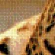 Предпросмотр схемы вышивки «леопард» (№473901)