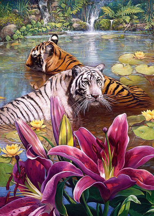 купание 2 - кошки, природа, тигры, животные, тигр - оригинал