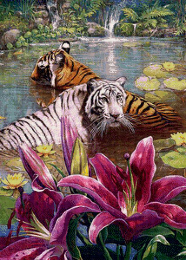 купание 2 - природа, кошки, тигр, животные, тигры - предпросмотр
