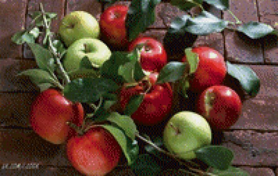 Яблочки - фрукты - предпросмотр