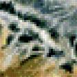 Предпросмотр схемы вышивки «тигр» (№474323)