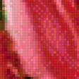 Предпросмотр схемы вышивки «розы на подушку» (№475214)