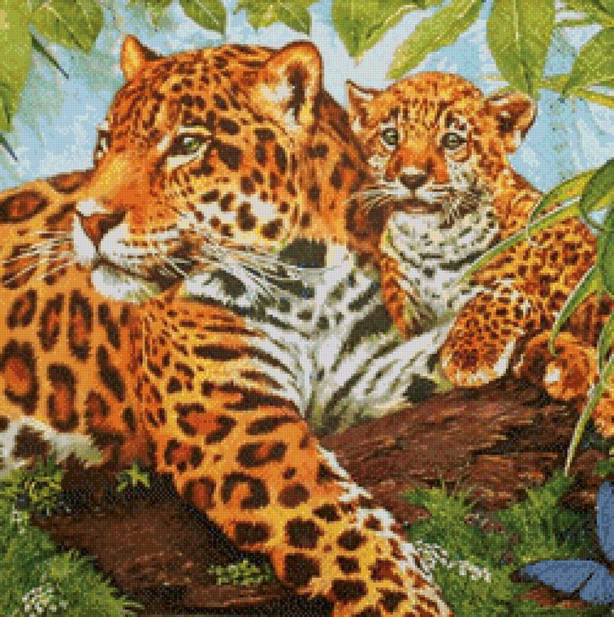 леопарды - дикие кошки, коты, животные, котенок, леопард - предпросмотр