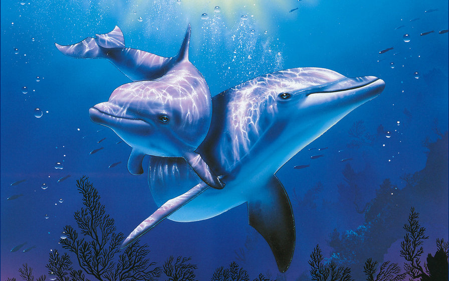 Пара дельфинов - море - оригинал