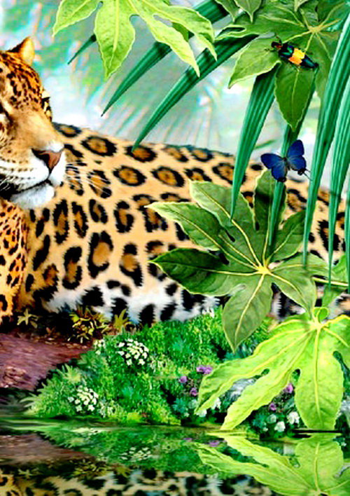 дикая семья часть 2 - хищник, живопись, котенок, леопард, бабочка, природа, вода - оригинал