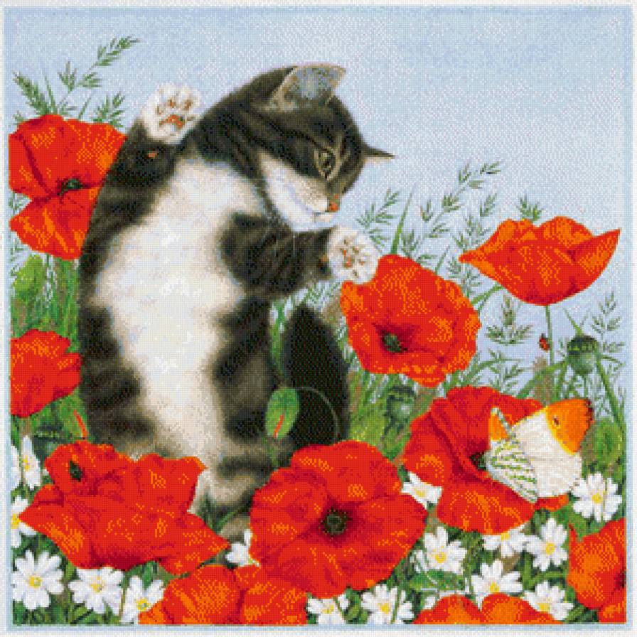 Серия "Кошки" - маки, цветы, животные, кошки - предпросмотр