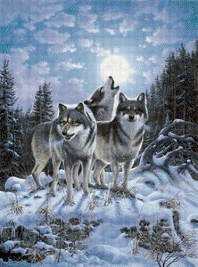 Серия "Волки" - животные, пейзаж, снег, зима, волки - предпросмотр