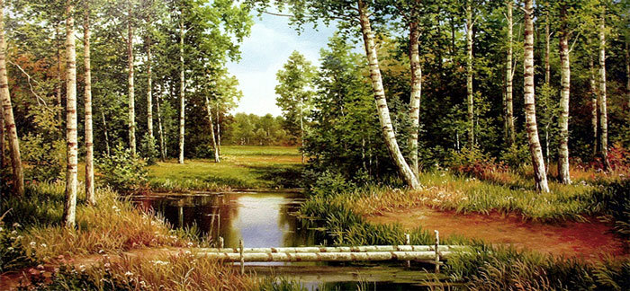 лесная речка - лес, пейзаж, лето, речка - оригинал