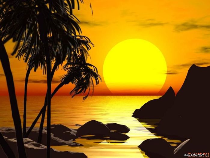 закат - море, солнце, закат, пляж, деревья - оригинал