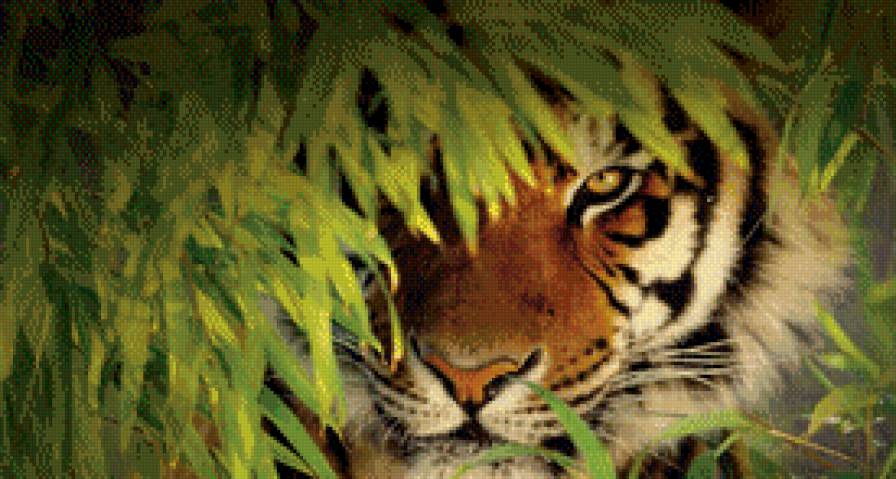 Тигр - лес, животные, кошки, тигр - предпросмотр