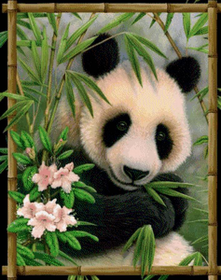 панда - природа, панда, медведь, животные, цветы, бамбук - предпросмотр