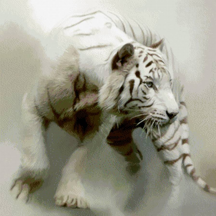 белый тигр - хищник, живопись - предпросмотр