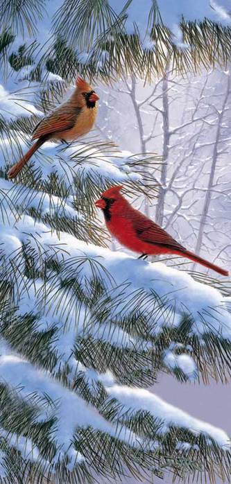 Серия "Птицы" - зима, птицы, кардиналы - оригинал