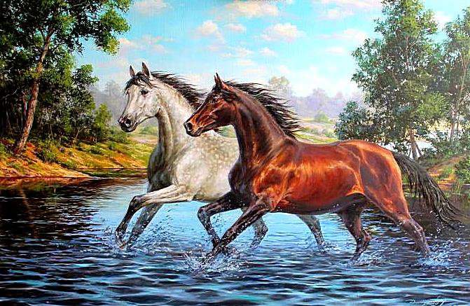 Лошади - кони, речка, лошади, животные, пейзаж - оригинал